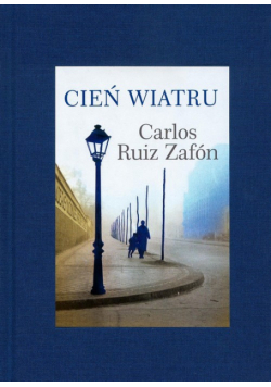 Cień wiatru