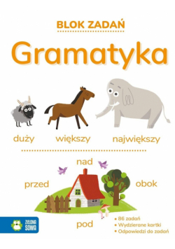 Blok zadań. Gramatyka 9+