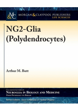 NG2-Glia (Polydendrocytes)