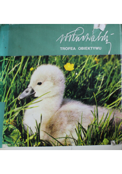 Trofea obiektywu