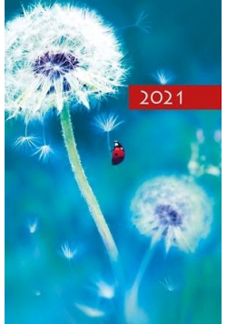 Terminarz 2021 B7 Mały Kolorowy Dmuchawiec