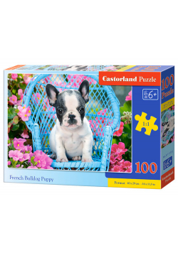 Puzzle 100 French Bulldog Pup