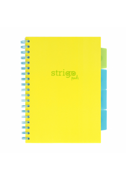 Kołozeszyt Strigo B5 Project Book Neon żółty kratka
