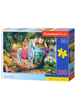 Puzzle Secret Trail 100