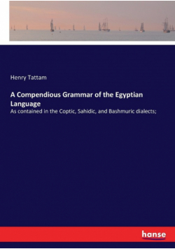 A Compendious Grammar of the Egyptian Language