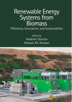 Renewable Energy Systems from Biomass