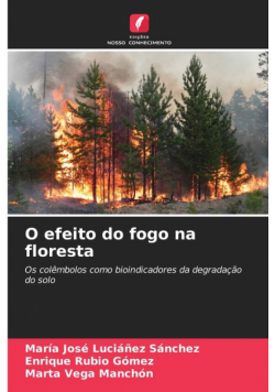 O efeito do fogo na floresta