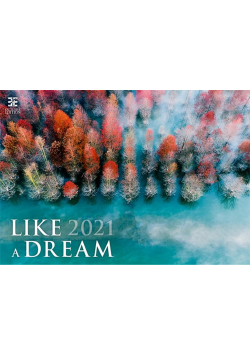 Kalendarz 2021 Like a dream EX HELMA