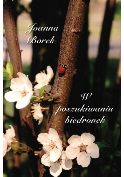 W poszukiwaniu biedronek