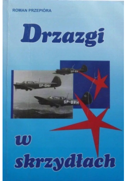 Drzazgi w skrzydłach