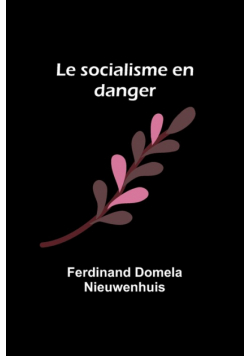 Le socialisme en danger