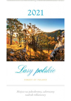 Kalendarz 2021 Reklamowy Lasy polskie RW4