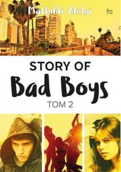 Story of Bad Boys Tom 2