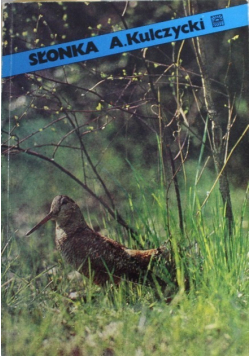 Słonka