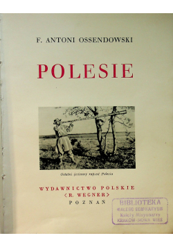 Polesie ok 1934 r