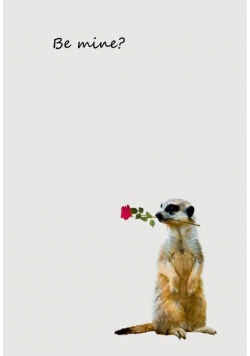 Notes Gee Be Mine line NARCISSUS