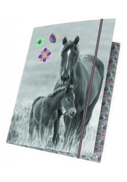 Teczka z gumką A4 Horses PP20KO-109 PASO