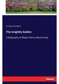 The knightly Soldier