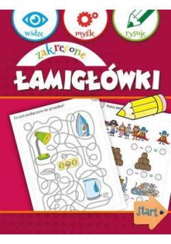 Widzę, myślę, rysuję. Zakręcone łamigłówki