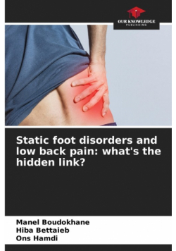 Static foot disorders and low back pain