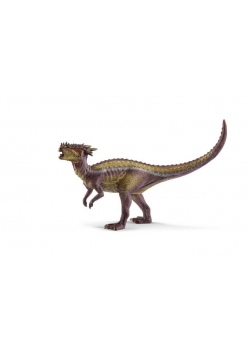 Dracorex