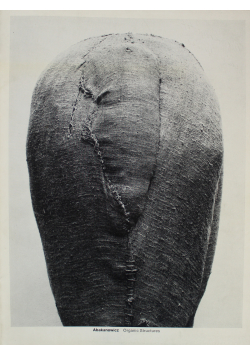 Abakanowicz Organic Structures