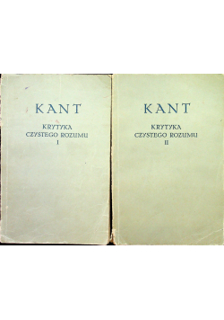 Kant krytyka czystego rozumu