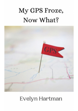 My GPS Froze, Now What?