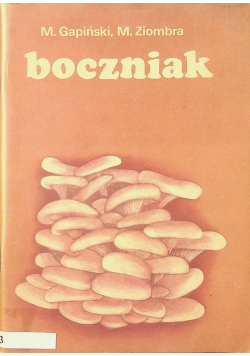 Boczniak
