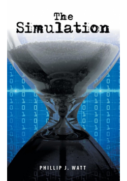 The Simulation