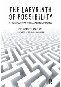 The Labyrinth of Possibility