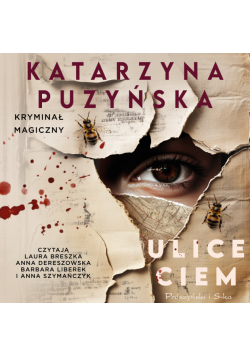 Ulice ciem