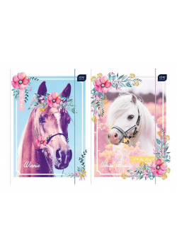 Teczka z gumką A4 + LUX UV Pony (10szt)