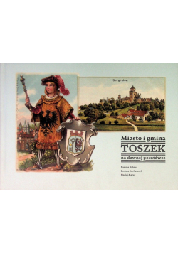Miasto I Gmina Toszek Na Dawnej Pocztówce Helmer