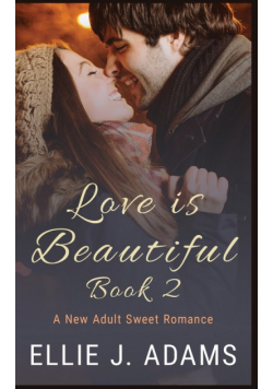 Love is Beautiful Book 2