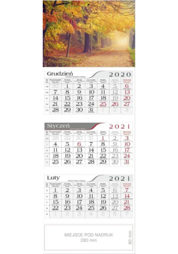 Kalendarz 2021 Trójdzielny Drzewa jesienią CRUX