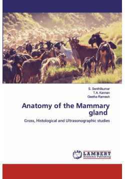 Anatomy of the Mammary gland
