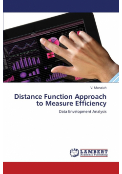 Distance Function Approach to Measure Efficiency