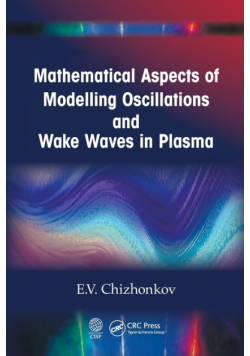 Mathematical Aspects of Modelling Oscillations and Wake Waves in Plasma
