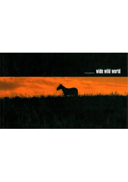 Wide Wild Word