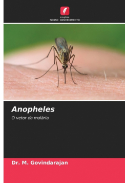 Anopheles