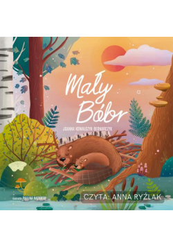 Mały Bóbr