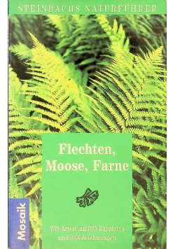 Flechten, Moose, Farne