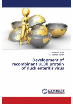 Development of recombinant UL30 protein of duck enteritis virus