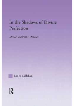 In the Shadows of Divine Perfection