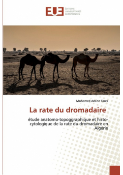 La rate du dromadaire