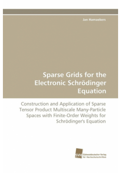 Sparse Grids for the Electronic Schrödinger Equation