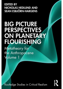 Big Picture Perspectives on Planetary Flourishing