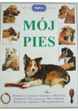 Mój pies