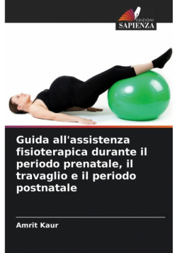 Guida all'assistenza fisioterapica durante il periodo prenatale, il travaglio e il periodo postnatale